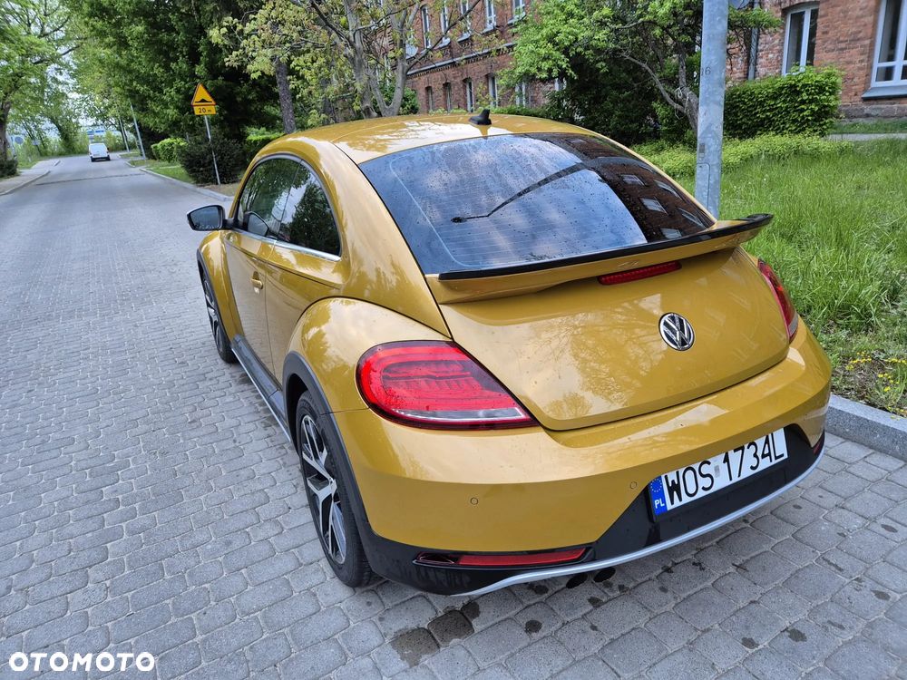 Volkswagen Beetle - 8