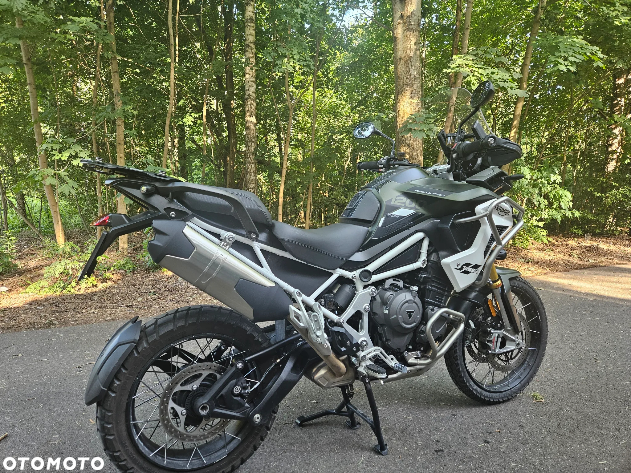 Triumph Tiger - 2
