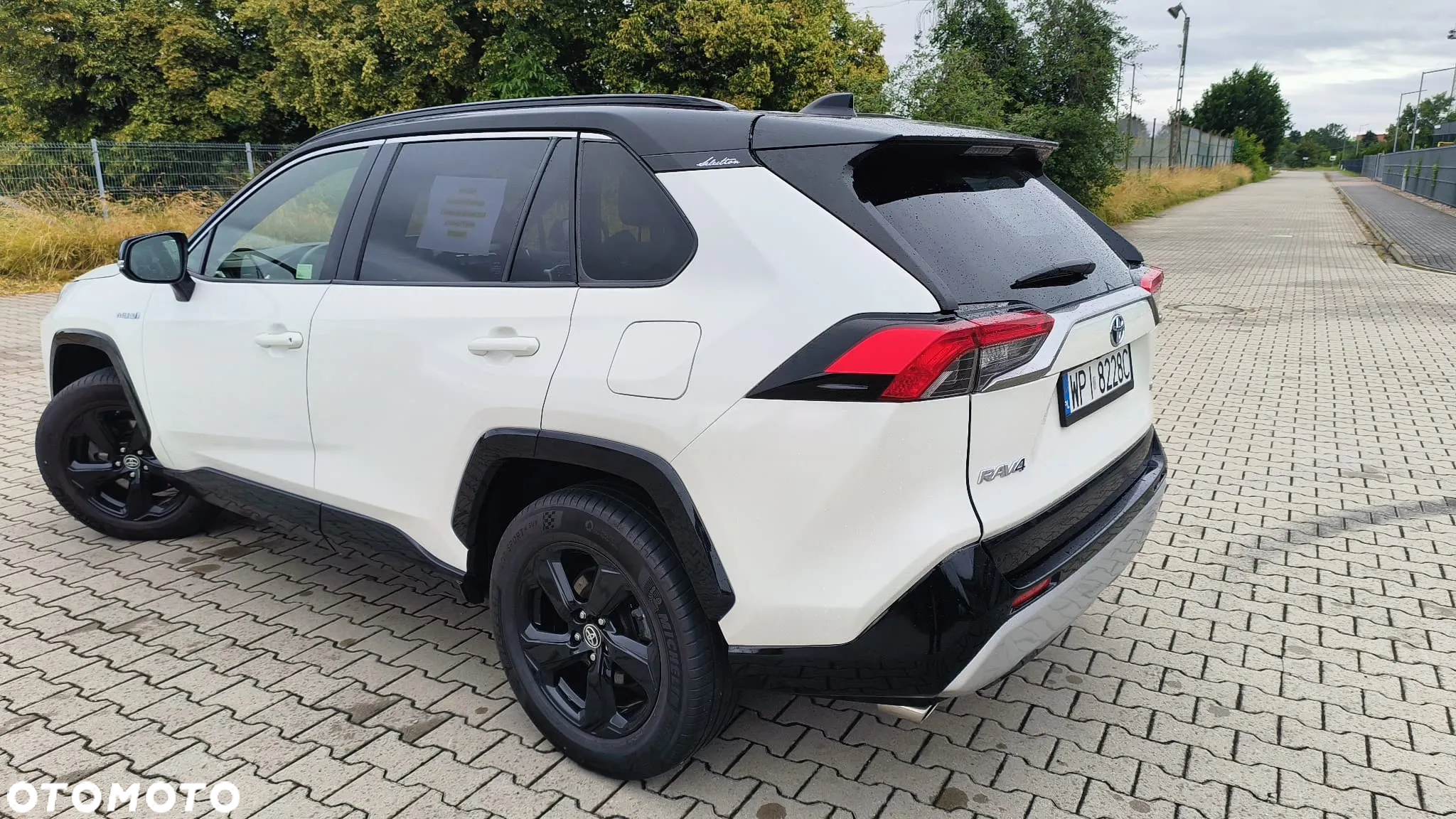 Toyota RAV4 2.5 Hybrid Selection 4x2 - 3