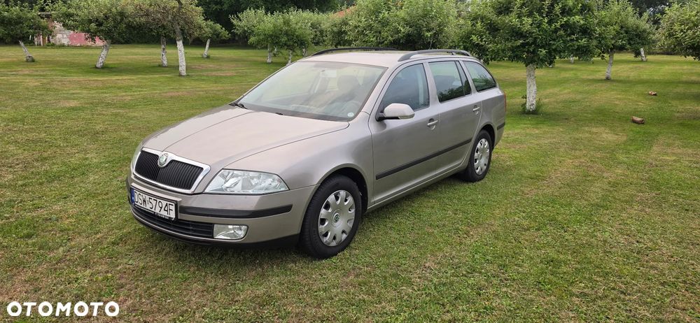 Skoda Octavia 1.9 TDI Elegance DSG - 2