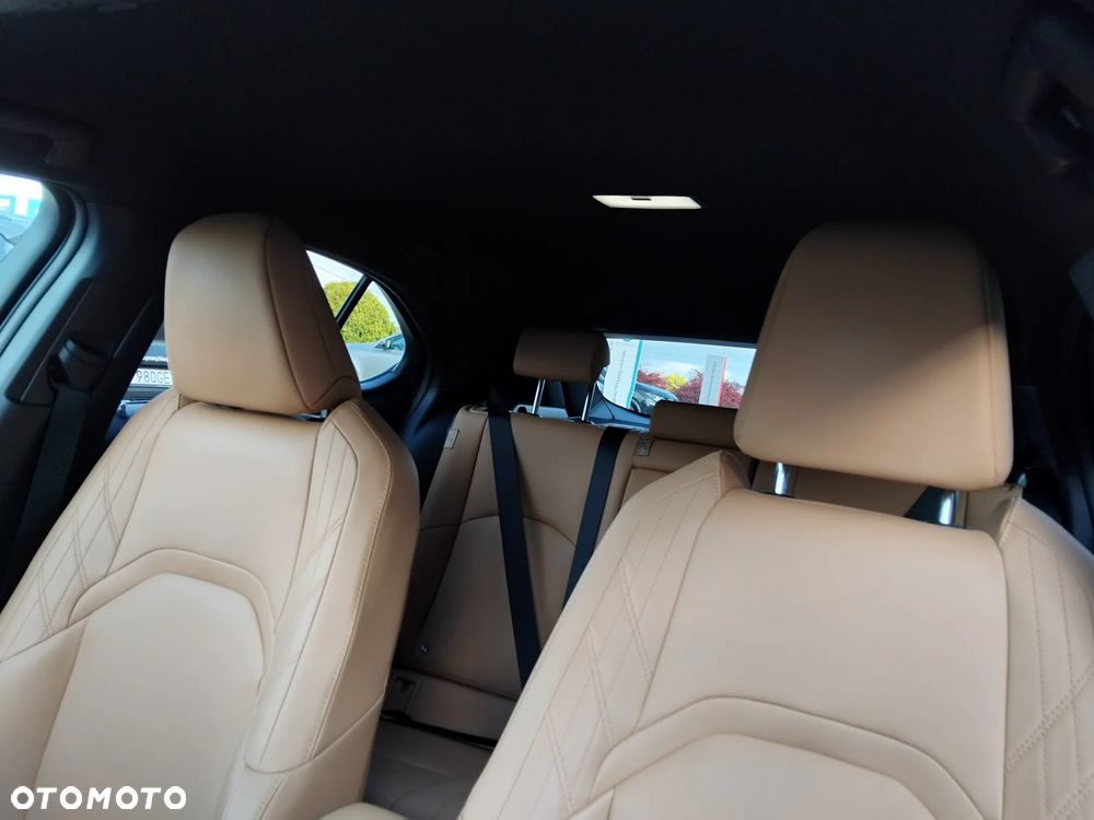 Lexus UX 250h GPF F Sport Design+ 2WD - 22