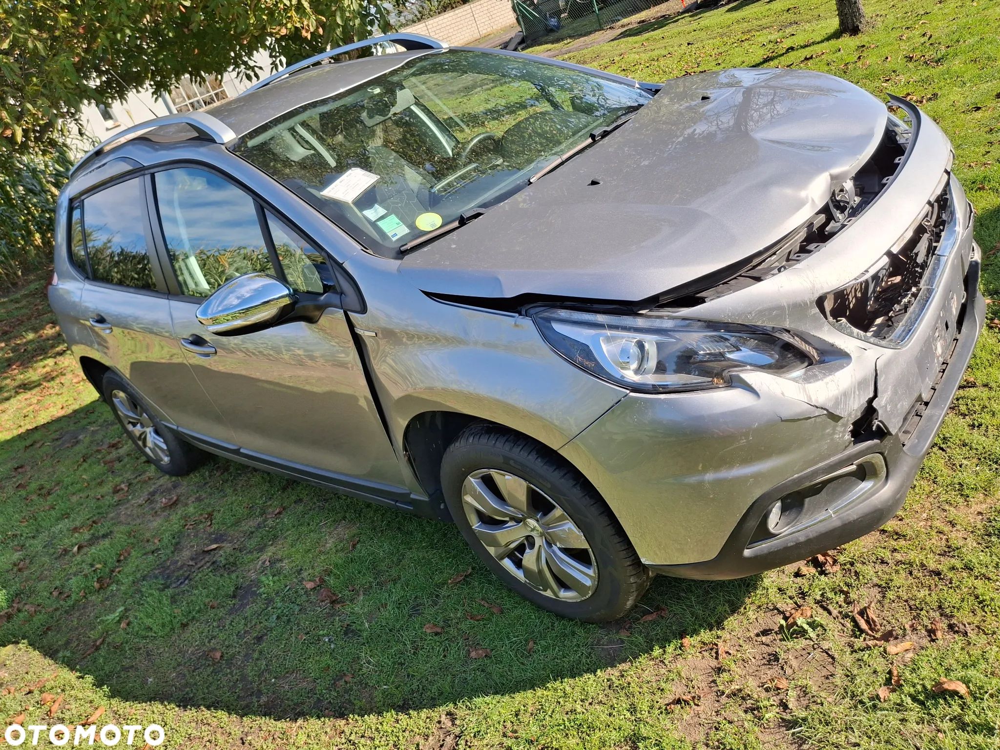 Peugeot 2008 - 1