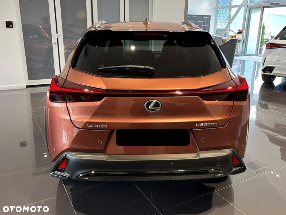 Lexus UX 300h F Sport - 4