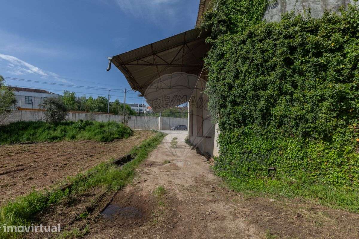 Armazém  para venda - Grande imagem: 5/40