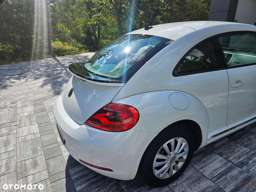 Volkswagen Beetle - 6