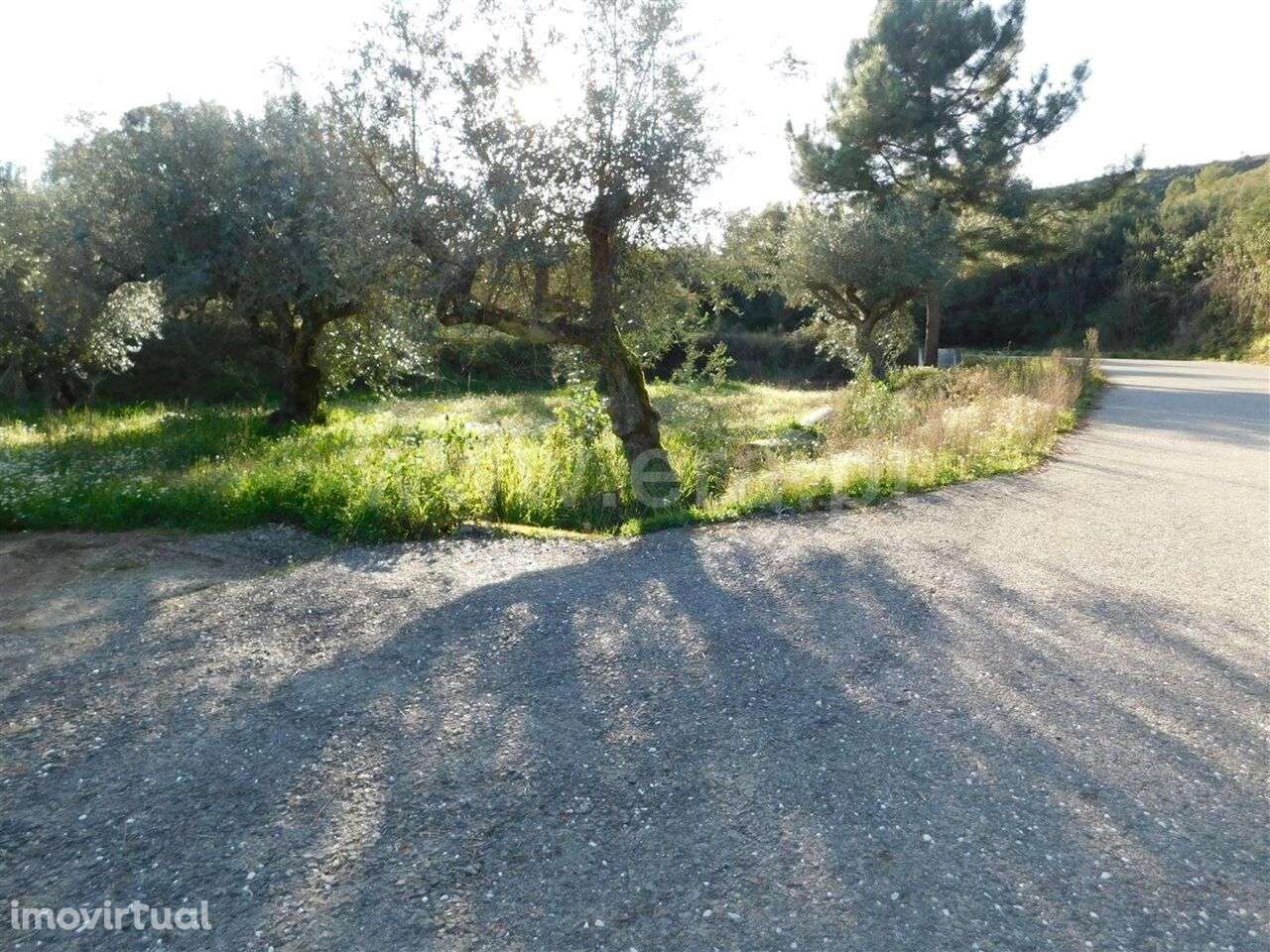 Terreno / Fundão, Telhado - Grande imagem: 3/4