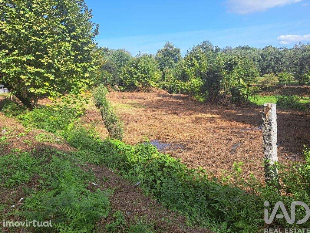 Terreno em Dossãos de 1740,00 m2 - Grande imagem: 3/9