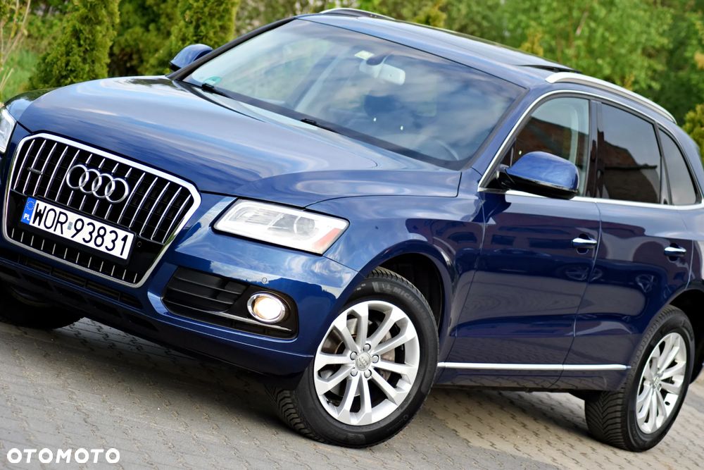 Audi Q5 - 19