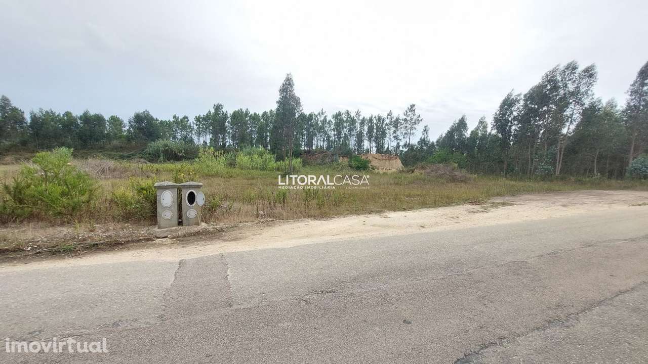 Lote de terreno p/ construção | Carregal - Grande imagem: 3/4