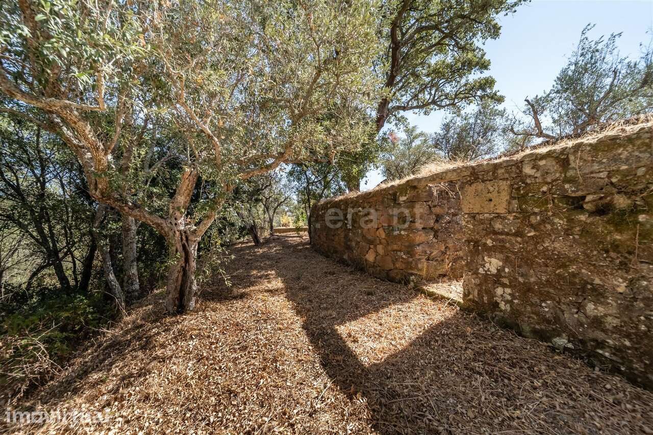 Lote / Covilhã, Dominguiso - Grande imagem: 2/10