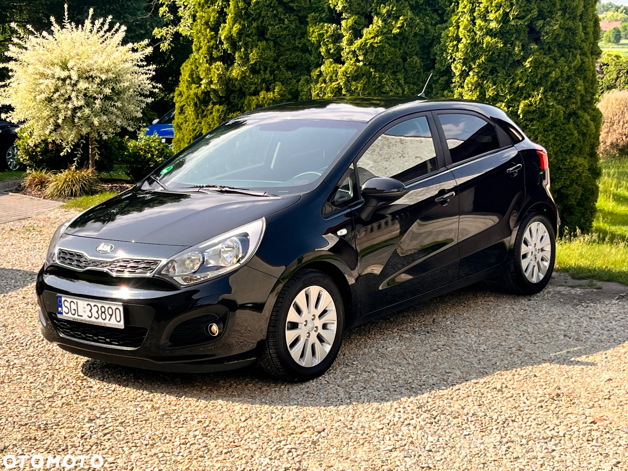 Kia Rio 1.2 Dream Team Edition - 8