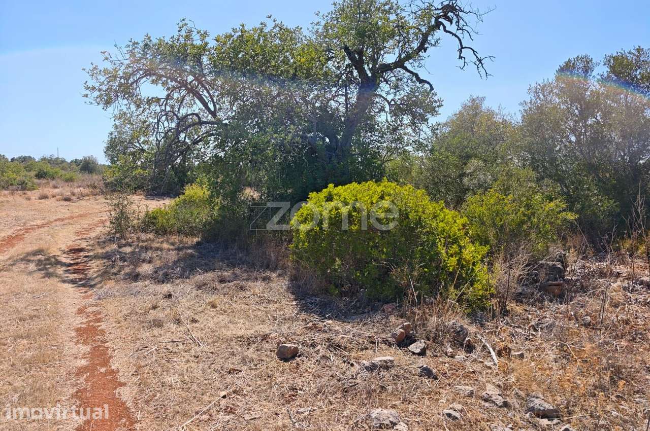 Terreno Rústico com 4.000m2 em Alturas, Alcantarilha - Grande imagem: 3/13