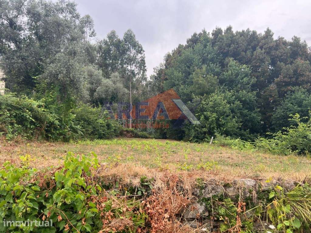 Terreno com projeto aprovado - Palmaz - Grande imagem: 5/13