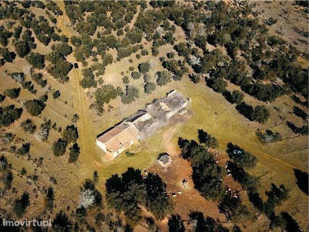 Quinta T4 para venda - Grande imagem: 5/8