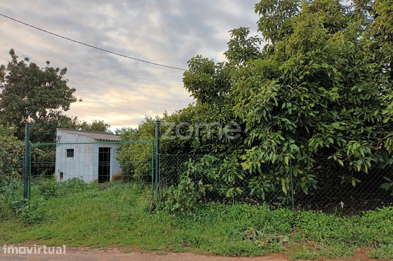 Terreno Agricola em Silves - Grande imagem: 5/20