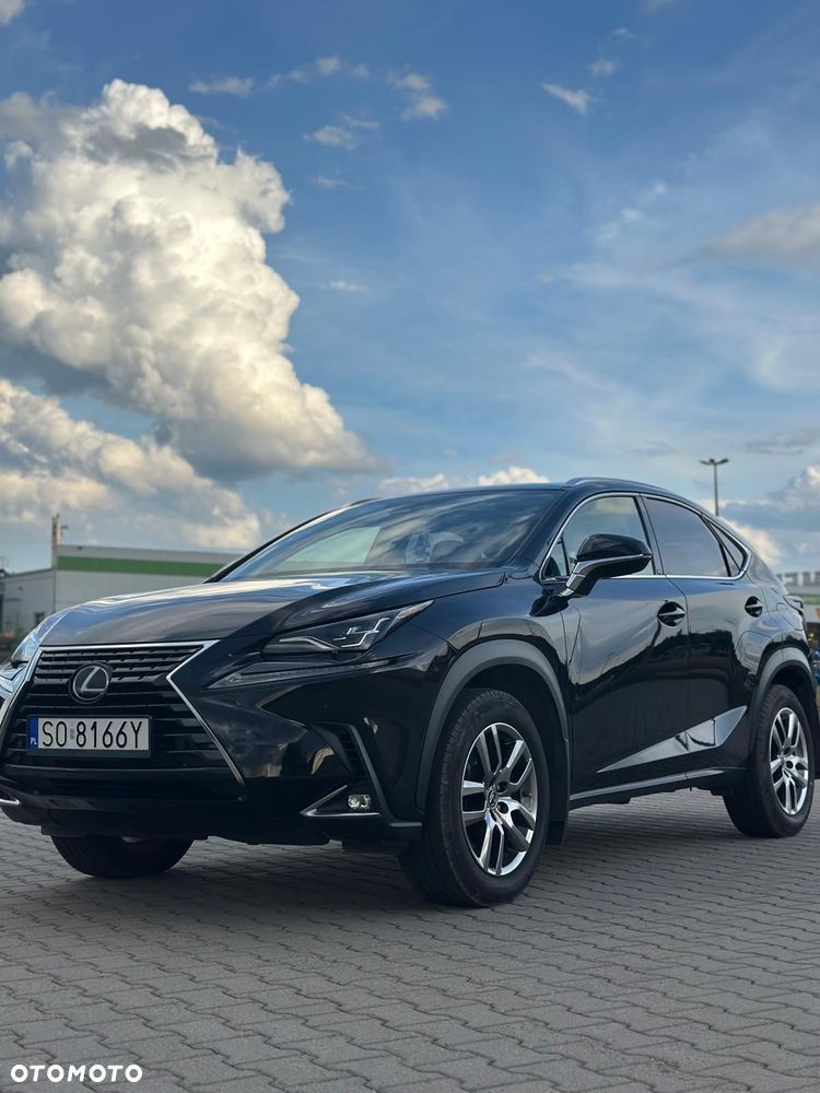 Lexus NX - 8
