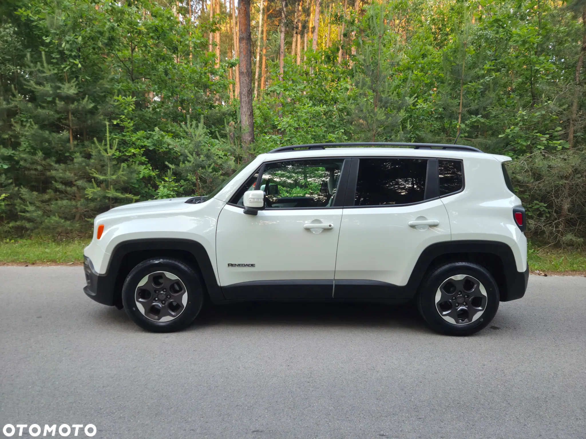Jeep Renegade 1.4 MultiAir DSG Business Line - 10