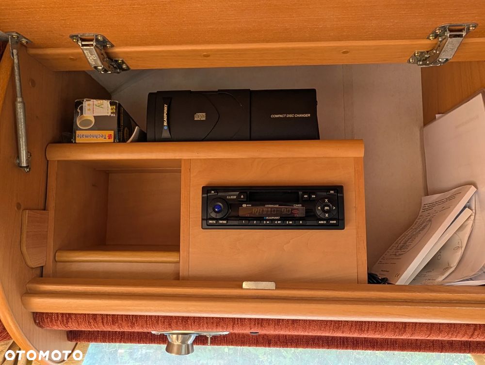 Avondale Golden Avocet - 33