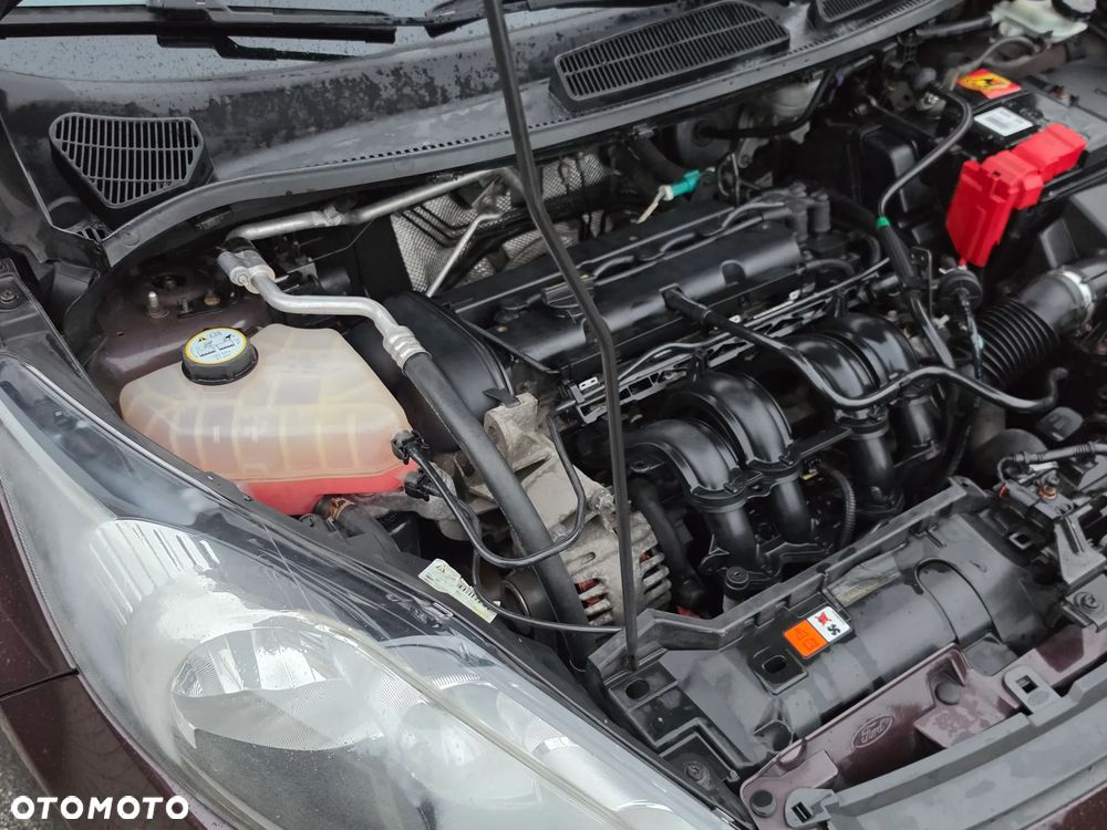 Ford Fiesta - 21