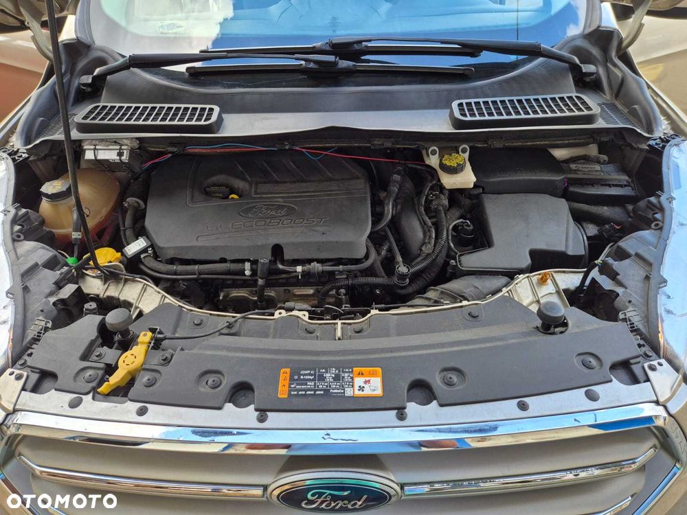 Ford Escape - 5