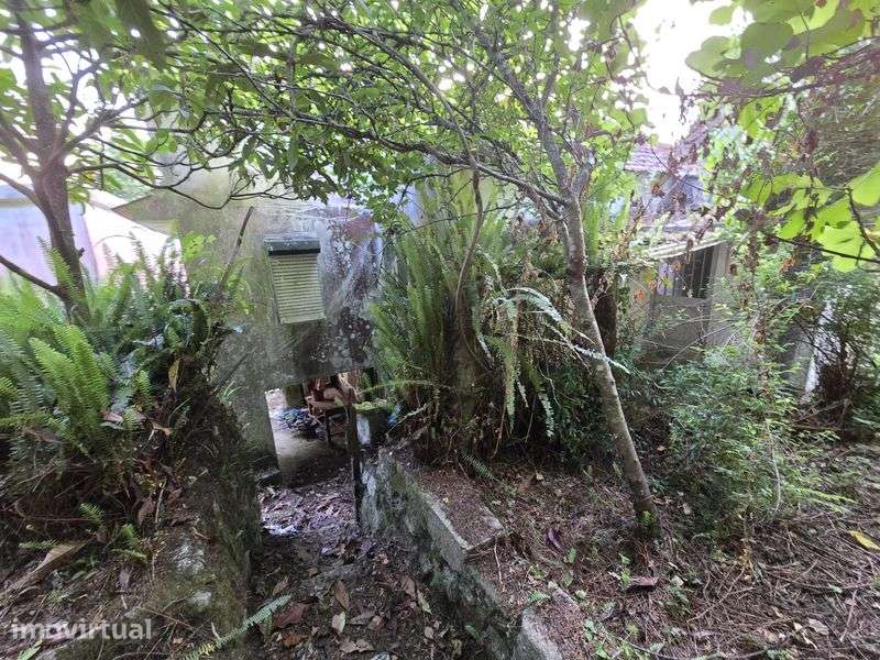 Venda de casa e terreno em Riba de Ancora - Grande imagem: 5/8
