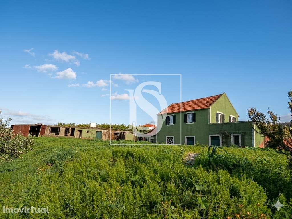 Moradia para Restaurar T3 Venda em Fajã da Ovelha,Calheta (Madeira) - Grande imagem: 2/12