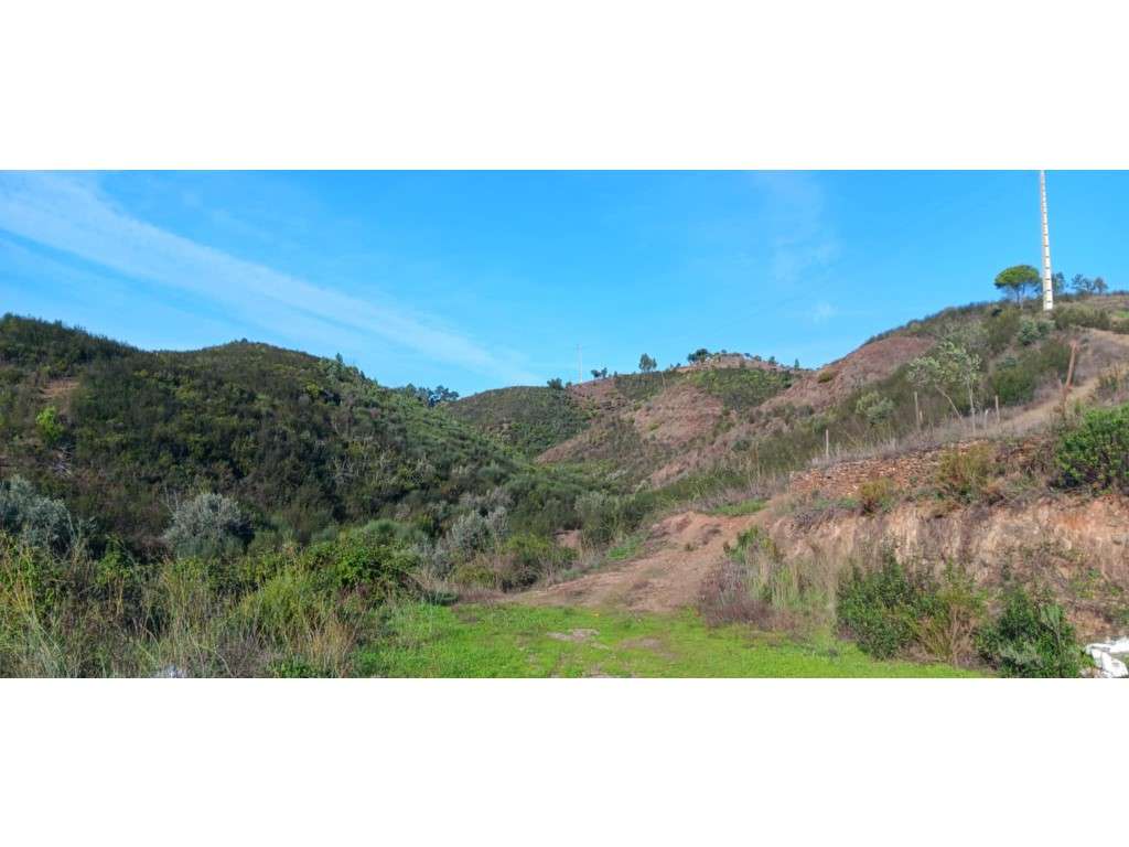 Terreno com 48.240 m2 - Junto a Praia Fluvial de Ortiga , Mação - Grande imagem: 3/15