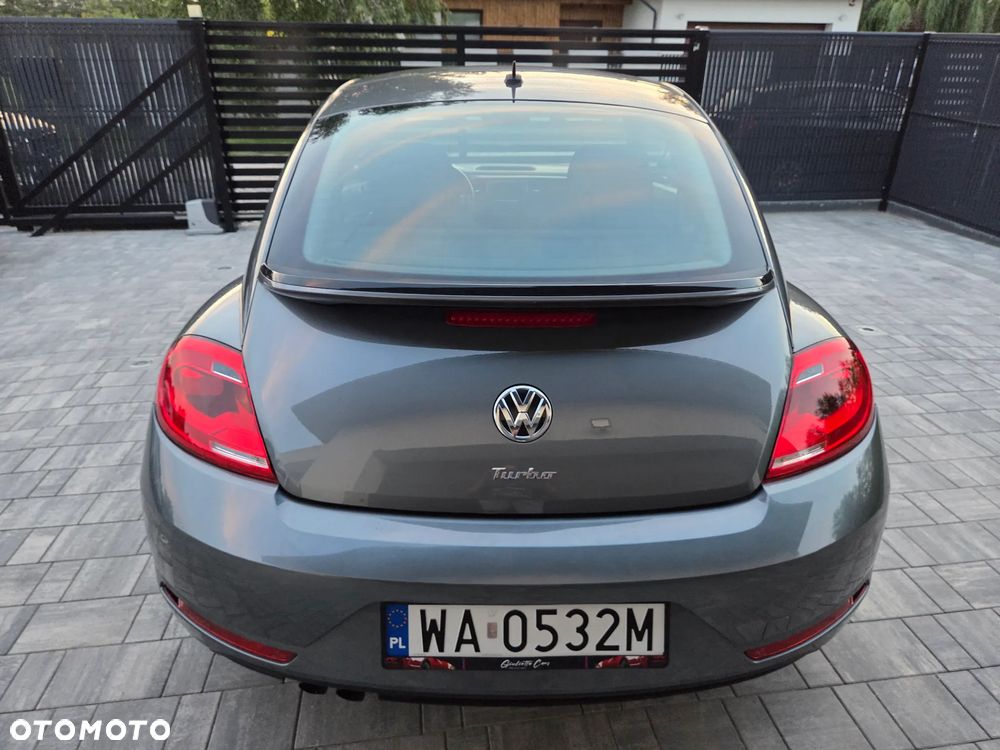 Volkswagen Beetle - 7