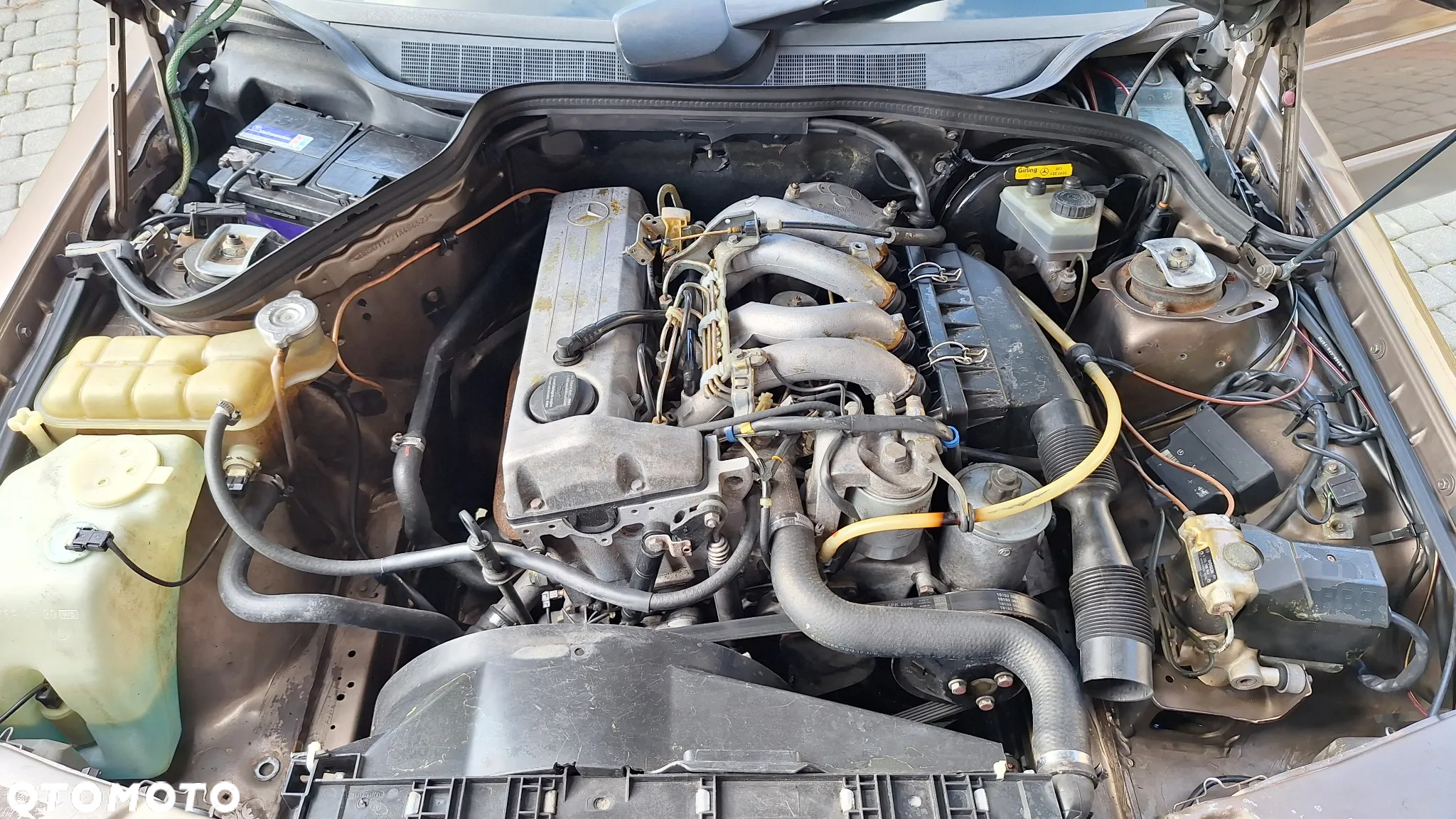 Mercedes-Benz W201 (190) - 5