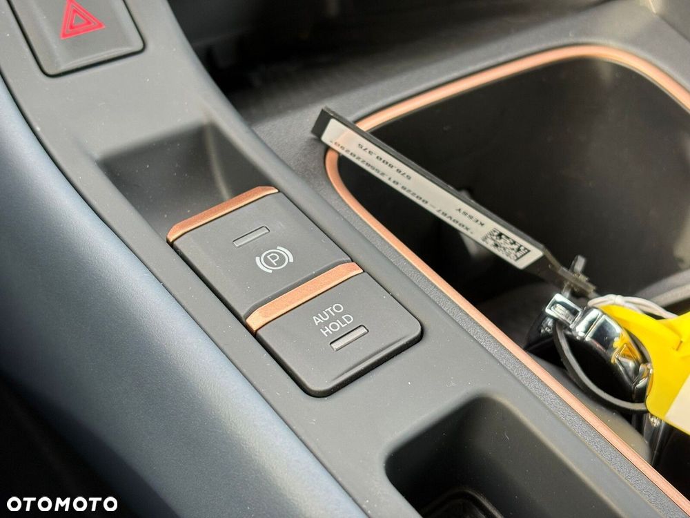 Cupra Terramar - 15