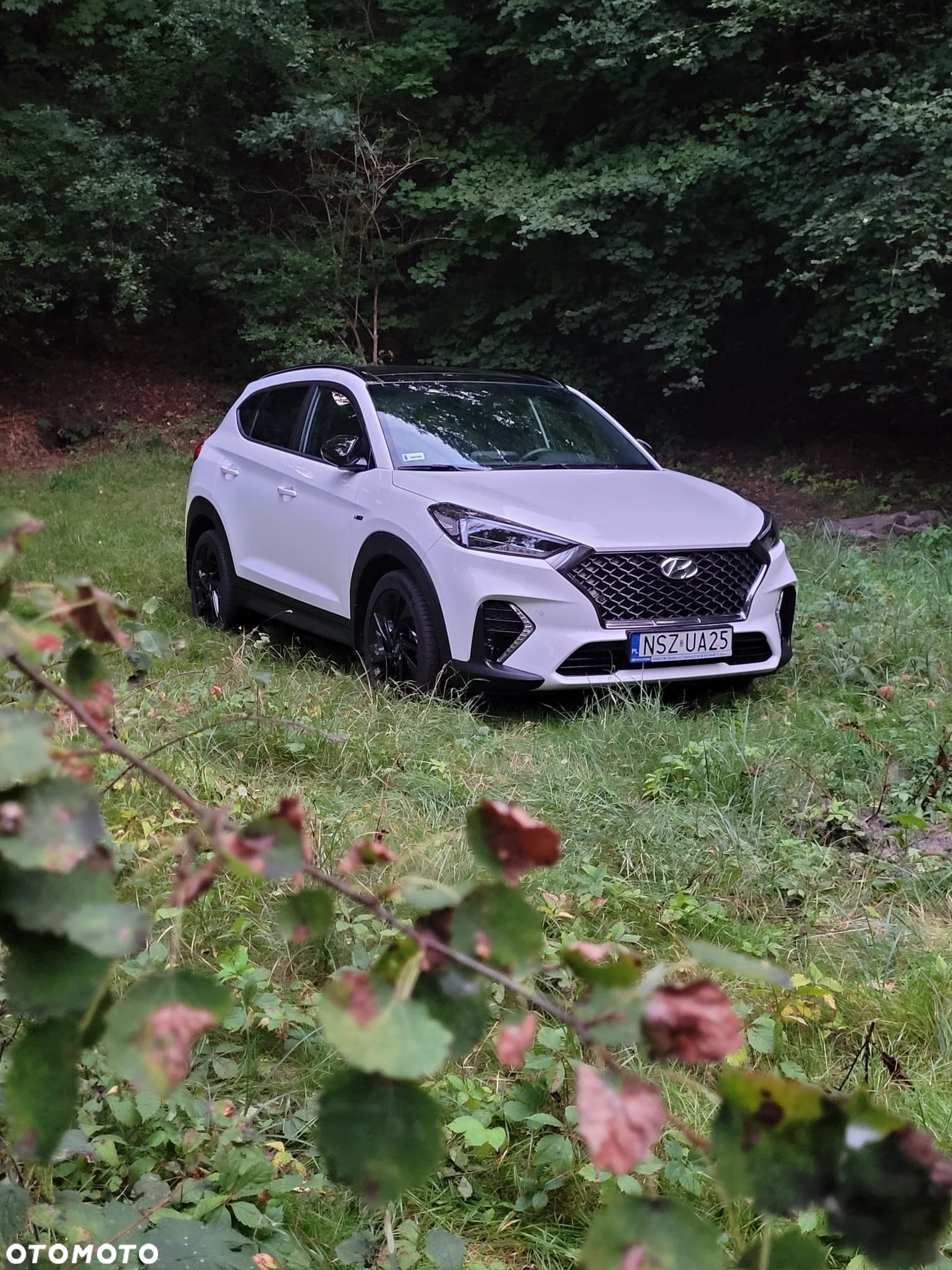 Hyundai Tucson 1.6 T-GDi N Line 4WD DCT - 2