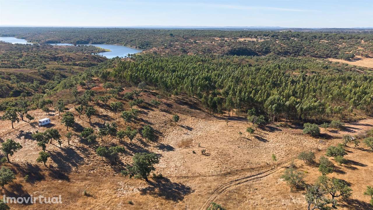 Terreno Misto com 8250m2, possibilidade de casa com 108m2, Abela, Alen - Grande imagem: 5/42