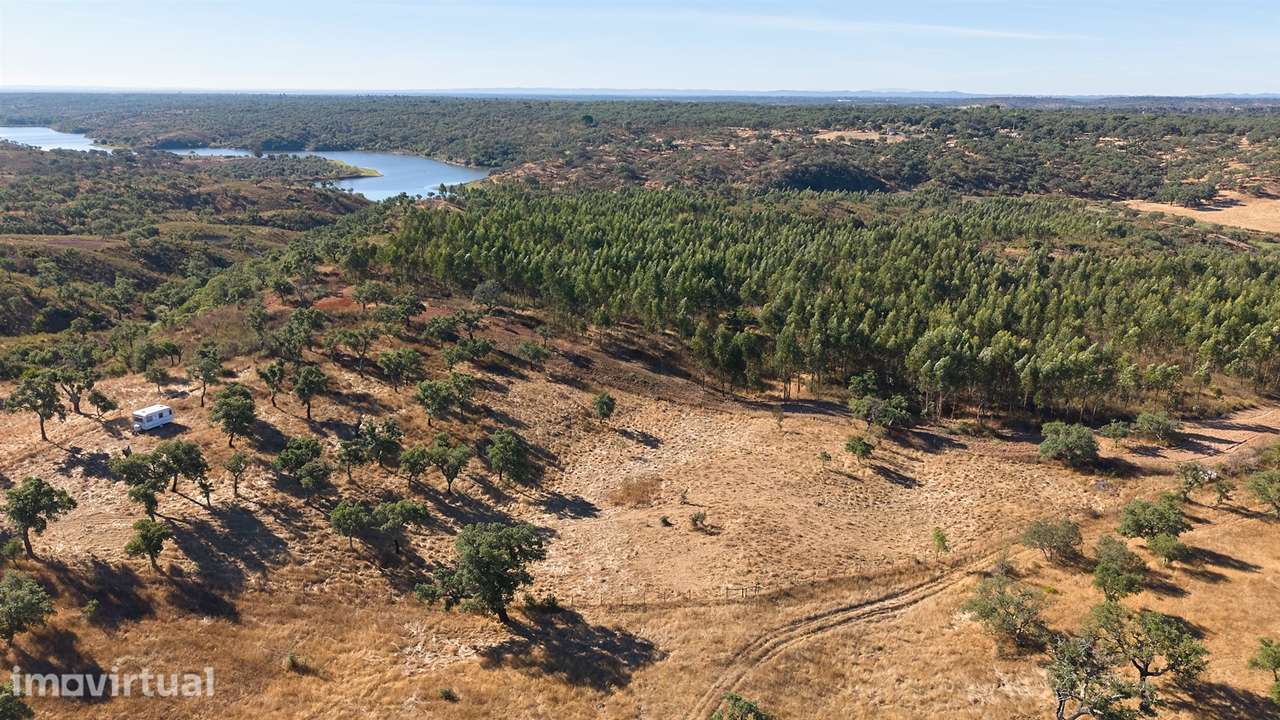 Terreno Rústico com 8.250 m² em Abela – Santiago do Cacém - Grande imagem: 5/42