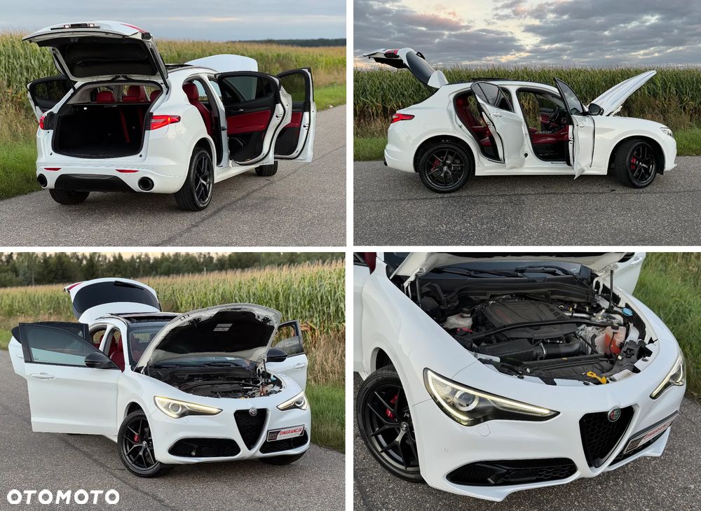 Alfa Romeo Stelvio 2.0 Turbo 16V AT8-Q4 Ti - 20