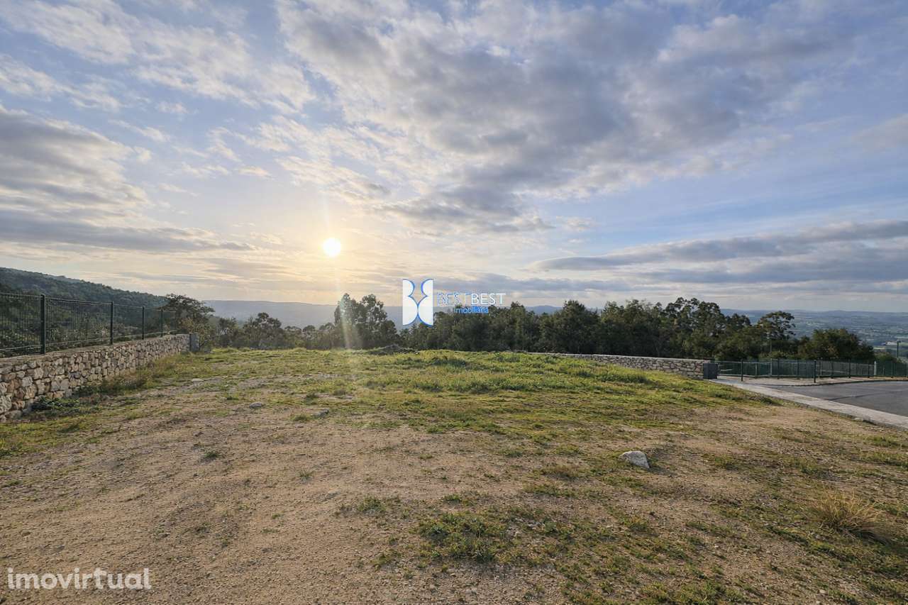 TERRENO COM 10.031  M2 EM BURGAES, SANTO TIRSO - Grande imagem: 4/11