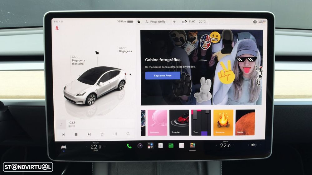 Tesla Model Y Standard - 24