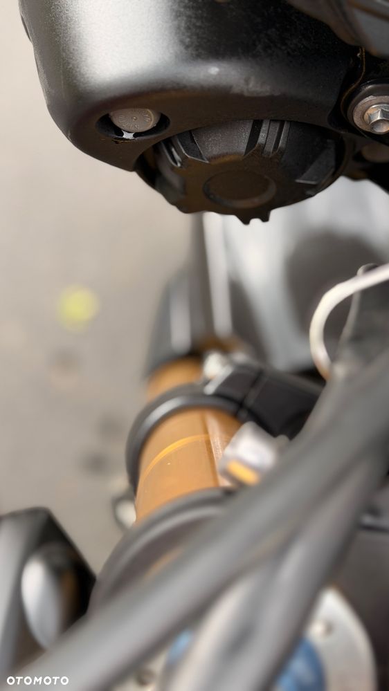 Triumph Speed Triple - 6