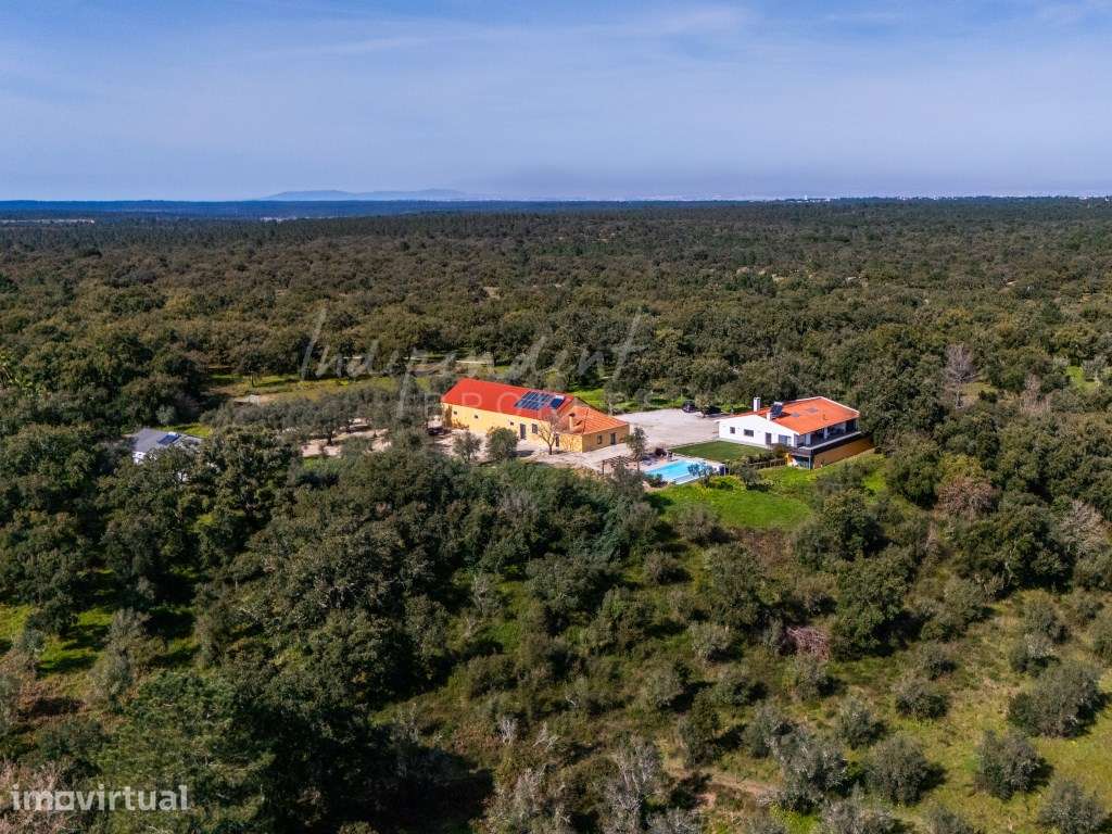 QUINTA DE SÃO FRANCISCO - ALTO DAS VINHAS [SESIMBRA] - Grande imagem: 3/60