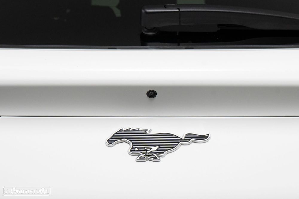 Ford Mustang Mach-E Standard - 16