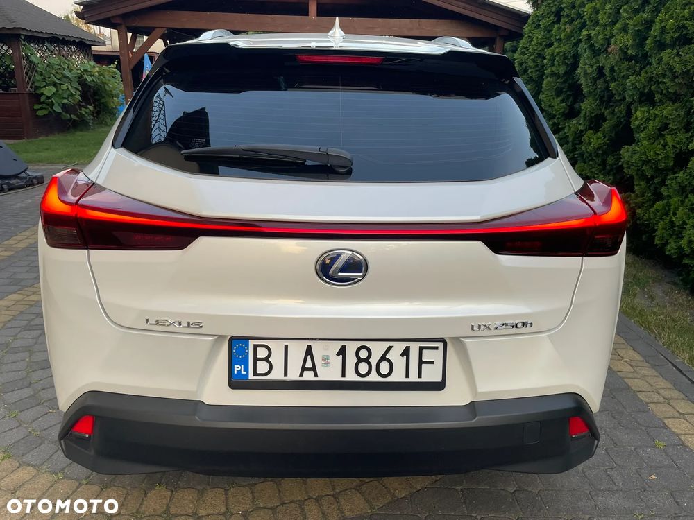 Lexus UX 250h F Sport 2WD - 5