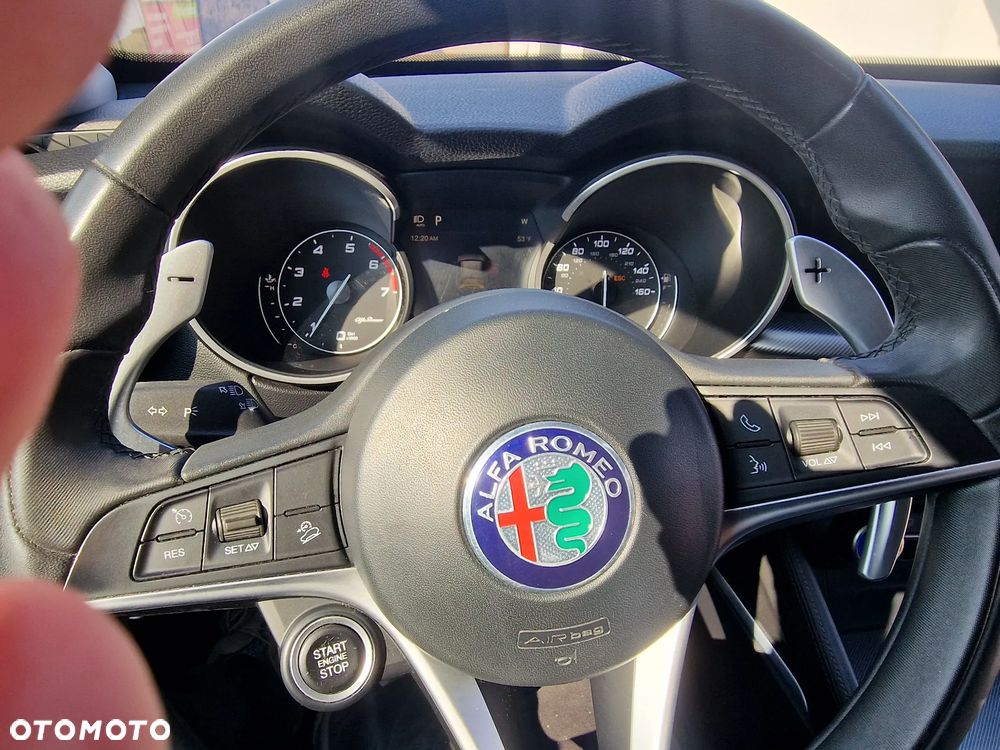 Alfa Romeo Stelvio 2.0 Turbo 16V AT8-Q4 Super - 10