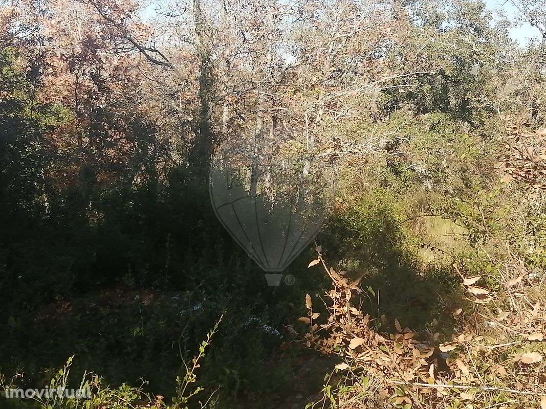 Terreno  para venda - Grande imagem: 3/7