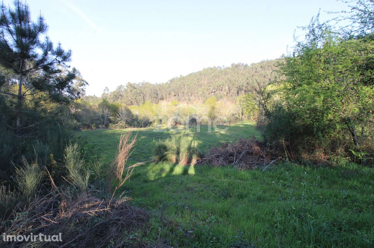 Terreno com 5.953 m² em Armil, Fafe – Zona Verde - Grande imagem: 3/24