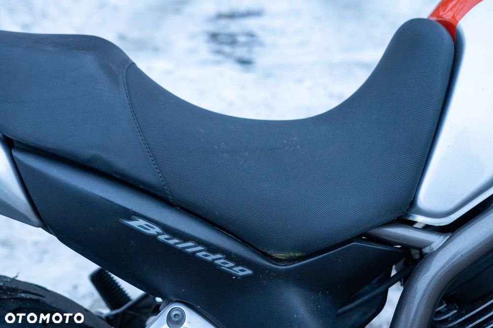 Yamaha Bulldog - 12