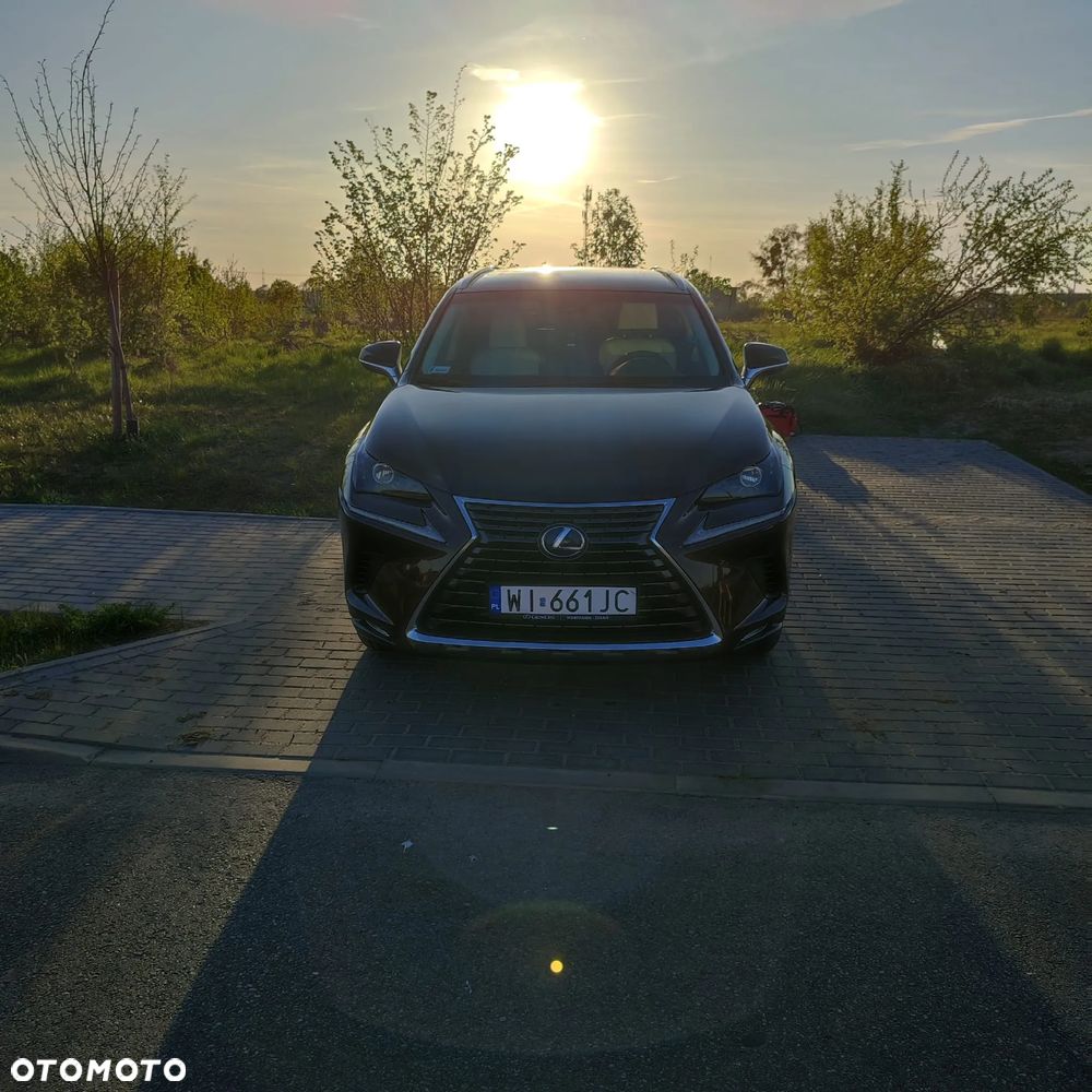 Lexus NX 300h Elegance Optimum AWD - 2