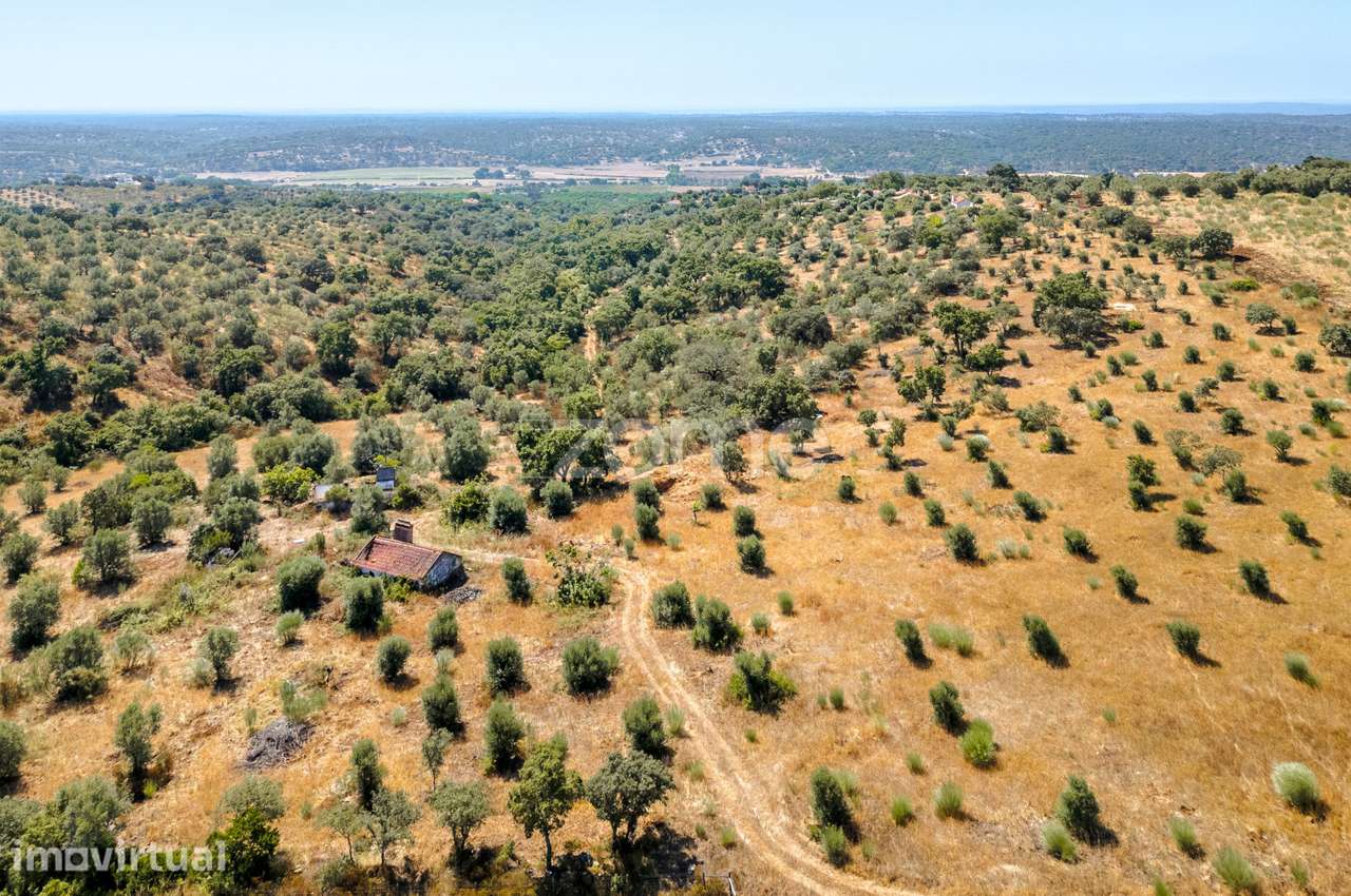 Montargil Terreno (2ha) com Casa 86m2 (viabilidade 108m2)