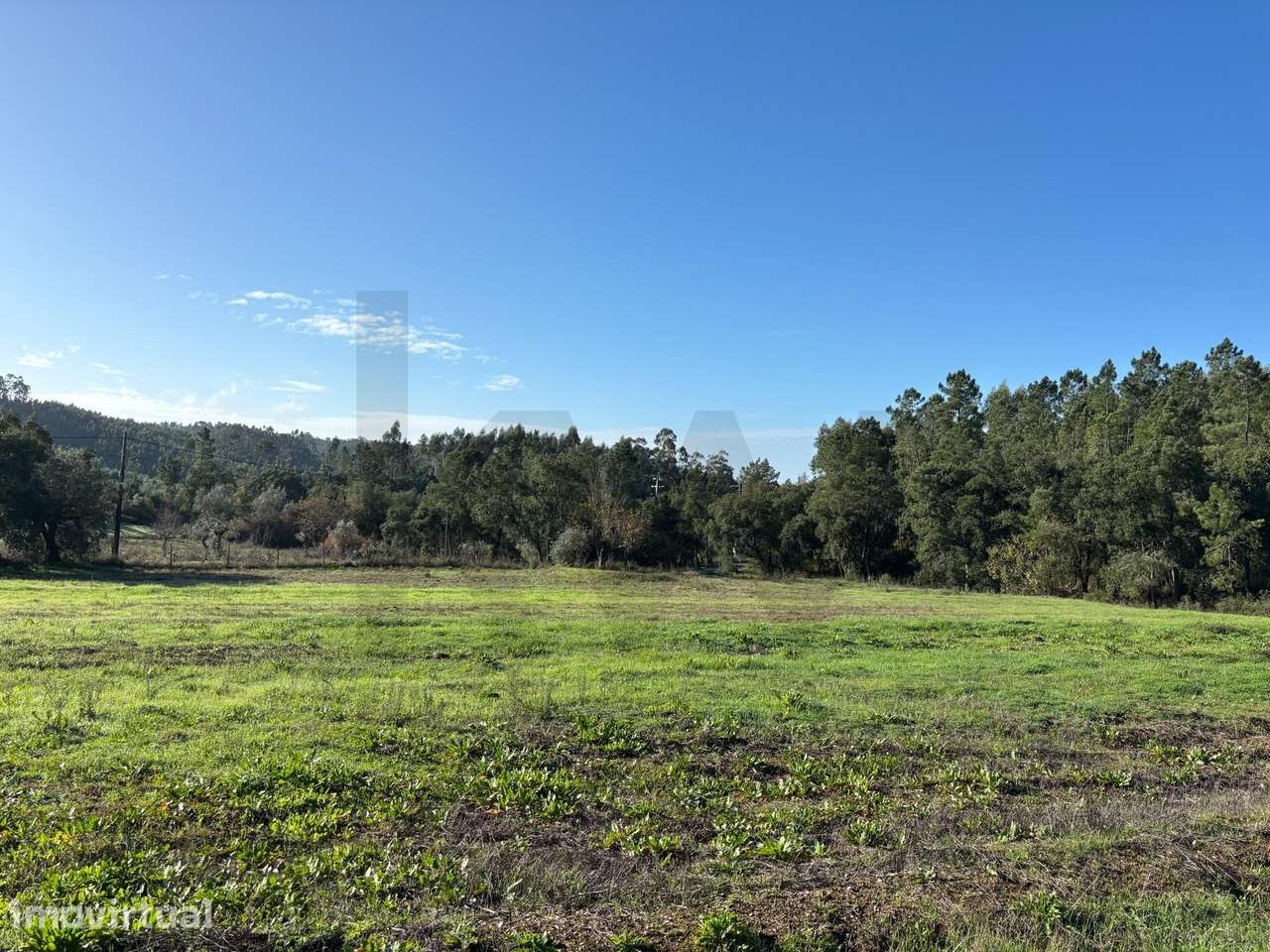 Terreno com viabilidade de construção e vista desafogada em Tomar - Grande imagem: 2/21