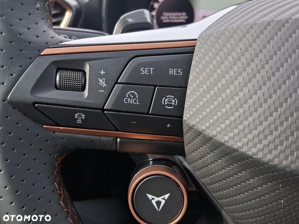 Cupra Formentor 2.0 TSI 4Drive DSG - 21