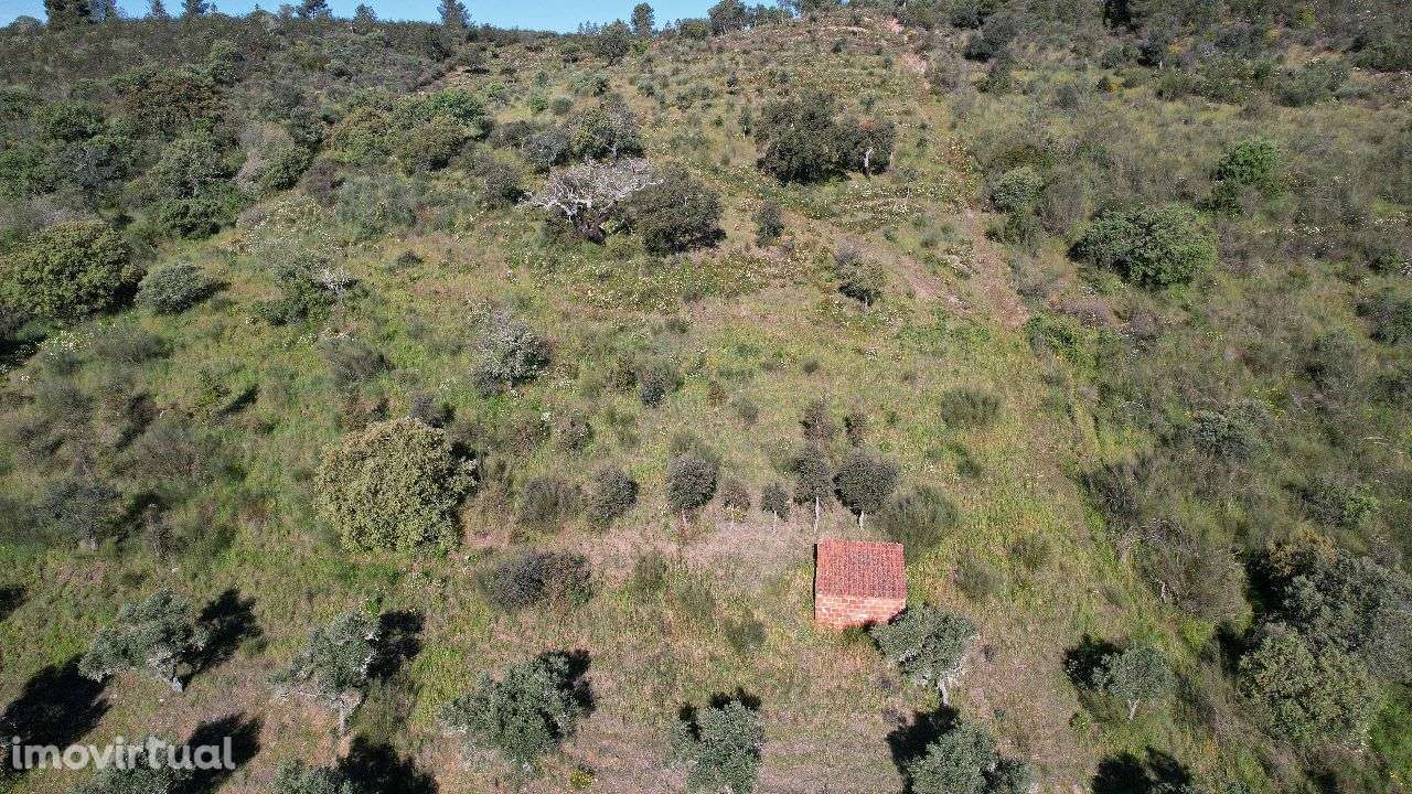 Terreno - Grande imagem: 5/6