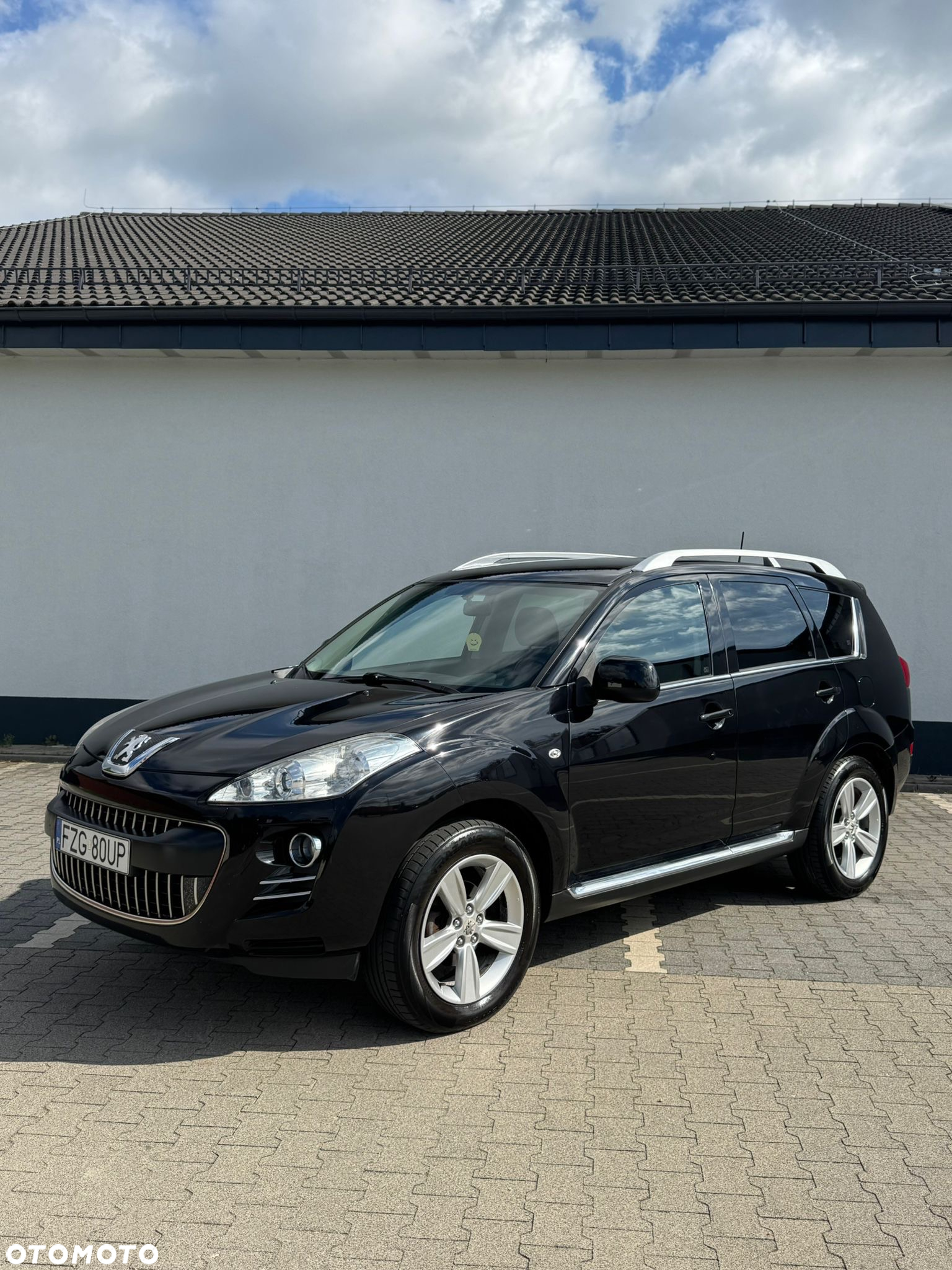 Peugeot 4007 2.2HDi Platinum - 2